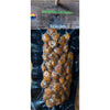 craft corn nuts, gourmet corn snacks, tender crunch corn nuts